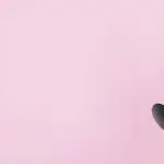 swavkom banner